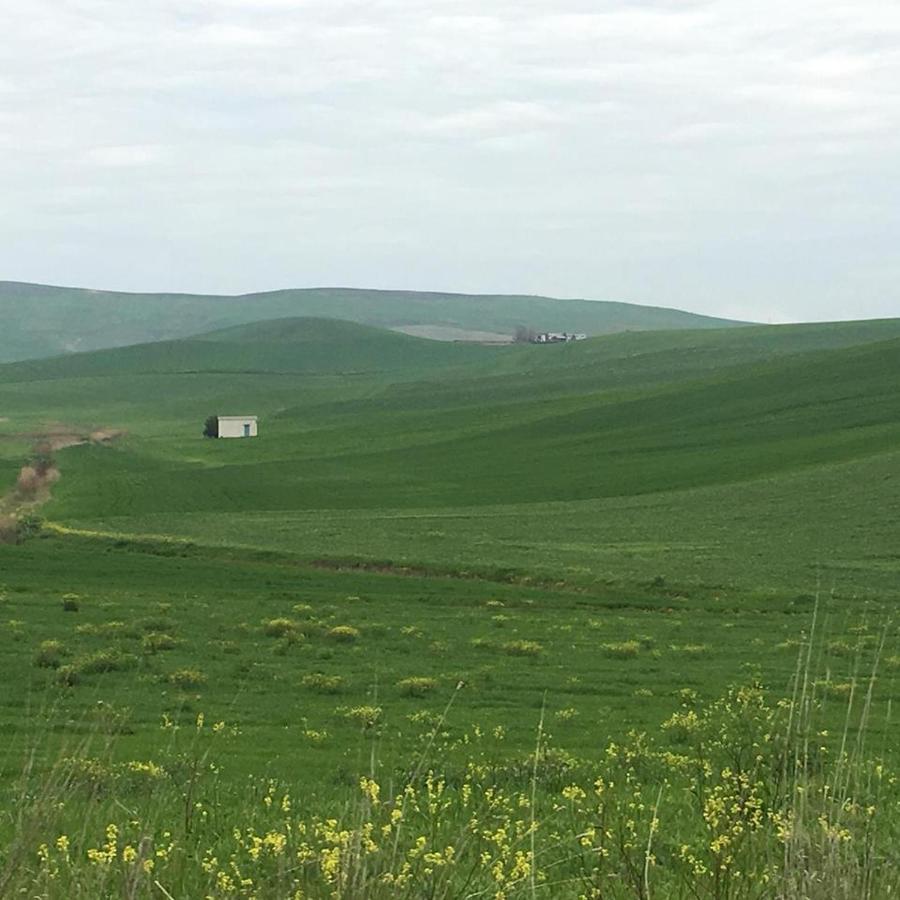 Le Antiche Mura Irsina Zewnętrze zdjęcie